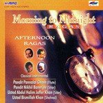 M To M Afternoon Ragas Classical Instrumental - Pt. Nikhil Banerjee Song Download